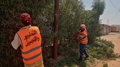 تطوير وتجميل قرية الحجاز بالإسماعيلية..صور