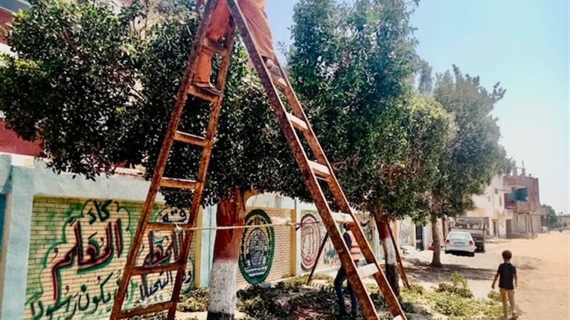 بوابة الجمهورية