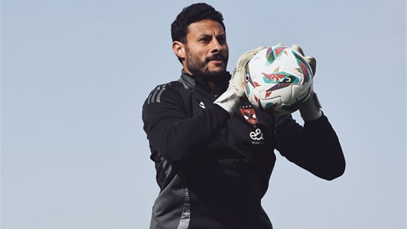 محمد الشناوي