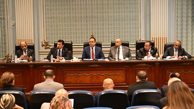 رياضة النواب: تأسيس شركات الخدمات الرياضية وفقاً لأحكام قانون الشركات المساهمة