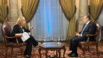 وزير الخارجية: هناك حرص متبادل بين مصر وإسرائيل على الالتزام بمعاهدة السلام