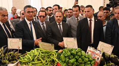 بأسعار مخفضة.. سوق اليوم الواحد ينطلق بالعاشر ..صور