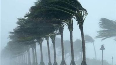 المنخفض الاستوائي باري يصل إلى الساحل الشرقي للمكسيك