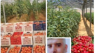 الزراعة أكثر القطاعات استفادة من.. ثورة ٣٠ يونيو المجيدة