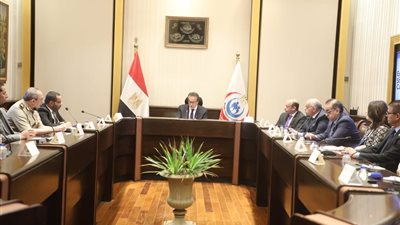 وزير الصحة يتابع مشروع الشبكة القومية لرعاية مرضى السكتة الدماغية