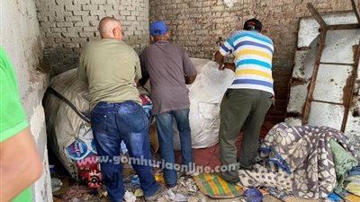 حملة للقضاء على النباشين بمحرم بك وسط الاسكندرية