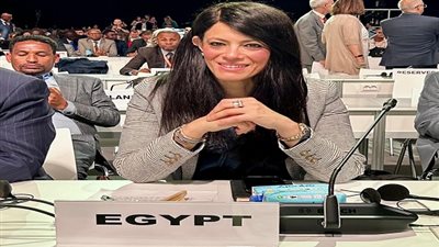 المشاط: الدول النامية تتحمل العبء الأكبر من أزمة الديون العالمية
