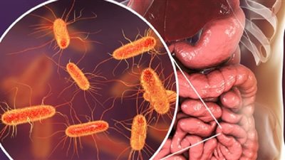 دراسة .. البكتيريا النافعة تحمي الجسم من سموم PFAS