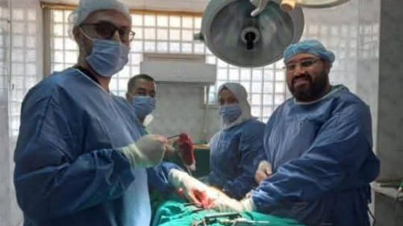 صحة القليوبية