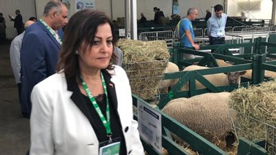 نائب وزير الزراعة تشارك في معرض 