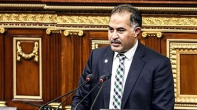 وكيل النواب: السيسي تكلم بكل صراحة ووضوح وشفافية مع الشعب الذي يصدقه ويؤمن به