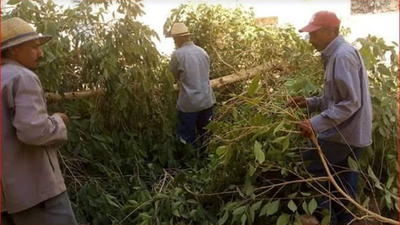 بوابة الجمهورية