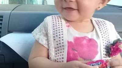 أمن الدقهلية يكثف جهوده لضبط طبيب بيطرى وكلبه لنهشه رأس طفلة