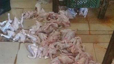 ضبط 225 كيلو دواجن فاسدة فى باب الشعرية