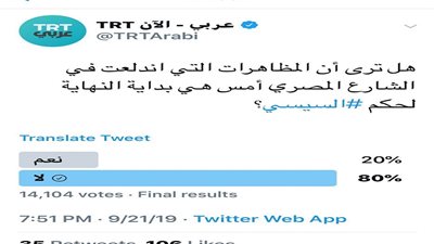 80 % من المصريين يصوتون بـ