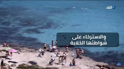 تقرير يتجول في جزيرة 