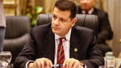 طارق رضوان رئيسا للجنة الافريقية بمجلس النواب