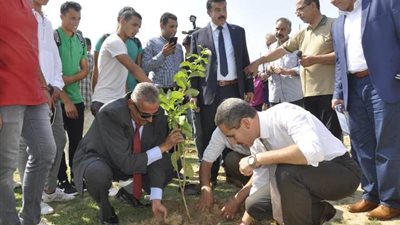 رئيس جامعة القناة يغرس أشجار مثمرة احتفالا بأكتوبر ..صور