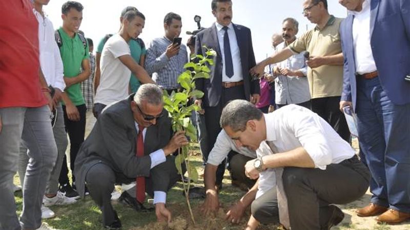 بوابة الجمهورية