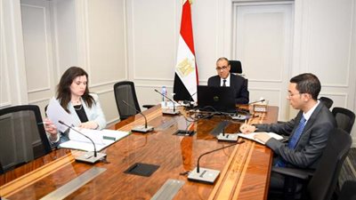 عبدالعاطي: الخارجية تولي اهتماما بالغا برعاية المصريين في الخارج