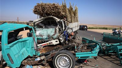 كدواني: إرادة الدولة في حماية أرواح مواطنيها