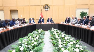 مصر وسيراليون تبحثان تنفيذ مشروعات نقل مشتركة