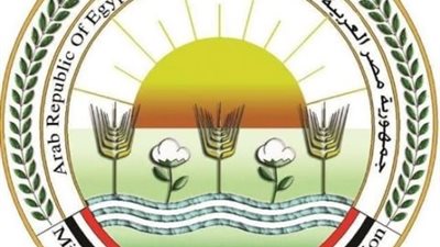 الزراعة تطلق أعمال الحملة القومية لتحصين الماشية ضد مرضي الحمى القلاعية والوادي المتصدع