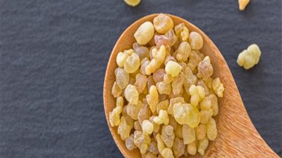 لبان الذكر.. كنز طبيعي لصحة أفضل من قلب الطبيعة