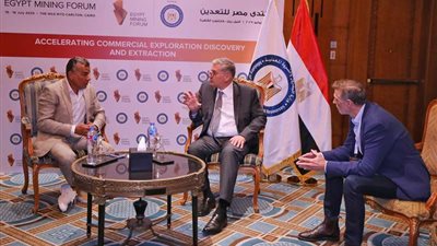 وزير البترول يبحث مع رئيس 