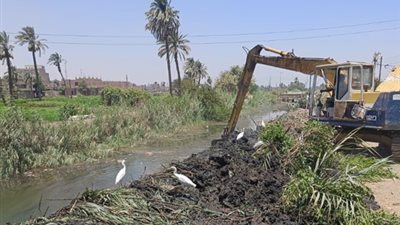 محافظ أسيوط يتابع جهود تطهير الترع والمصارف بقرية بني يحيى