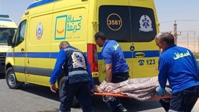 إصابة 9 أشخاص في حادث تصادم أعلى الطريق الدائري بالقليوبية