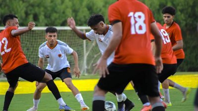 المنصورة يهزم جمهورية شبين بهدف السعيد