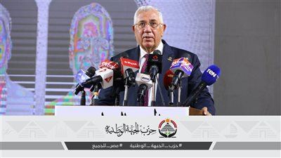 القصير: استقرار مصر مسؤولية الجميع.. والدولة تتعرض لهجوم ممنهج مدفوع الأجر