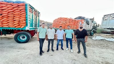 تموين الفيوم ضبط ٥٤.٨٠٠ طن اسمده زراعية مدعمه لوزارة الزراعة