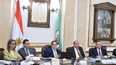 مجلس جامعة القاهرة يُهنئ الرئيس بثورة يوليو ويُقر قرارات جديدة