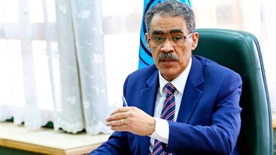 ضياء رشوان: 86 مؤسسة إعلامية عالمية تشارك في تغطية انتخابات الشيوخ