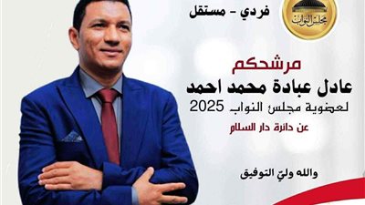“عادل عبادة.. من خبرات الضرائب العالمية إلى قاعة البرلمان المصري”