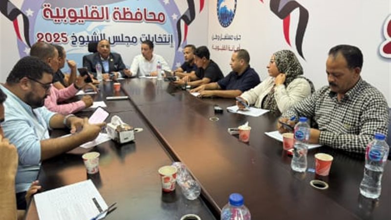 حزب مستقبل وطن بالقليوبية