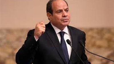 الرئيس السيسي: قطاع غزة يتعرض لإبادة ممنهجة