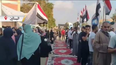 الاعلام تزين صفوف الناخبين امام لجان البساتين والمعادي