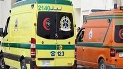 إصابة 6 أشخاص فى انقلاب سيارة بالشرقية