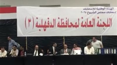فوز مرشحي مستقبل وطن وحماة الوطن والجبهة الوطنية بالدقهلية