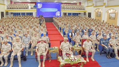 وزير الدفاع يلتقى عددا من مقاتلى المنطقة الجنوبية العسكرية