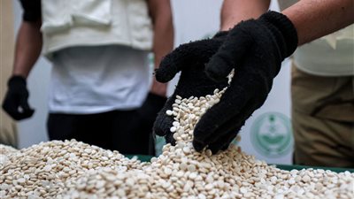 السعودية تحبط تهريب أكثر من 400 ألف حبة كبتاجون مخبأة بطريقة غريب
