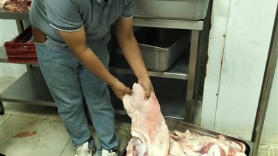 ضبط 12 طن اجزاء دجاج وجمبري غير مطابقة للمواصفات بطلخا
