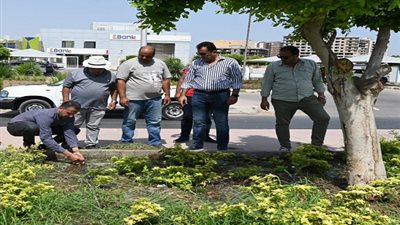 ضبط أعمال الزراعة وترشيد المياه بمحور علي بن أبي طالب بالعاشر من رمضان