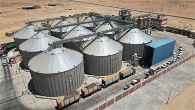 غرفة صناعة الحبوب: نجاح الحكومة في خفض واردات مصر من القمح