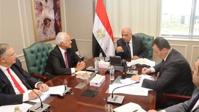 عصمت: مشروعات الربط الكهربائي جسور للصداقة ودعم للشراكة