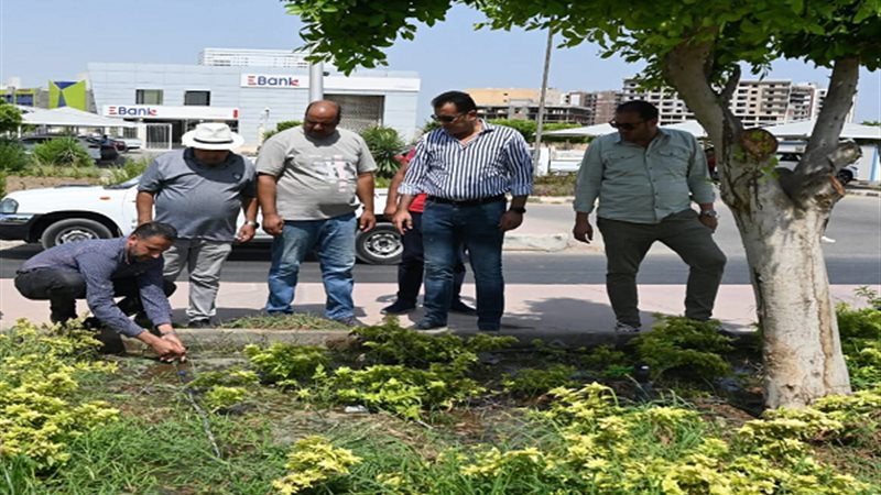 بوابة الجمهورية