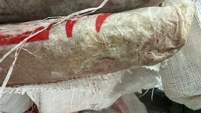 الطب البيطري بأسيوط يضبط طن لحوم فاسدة